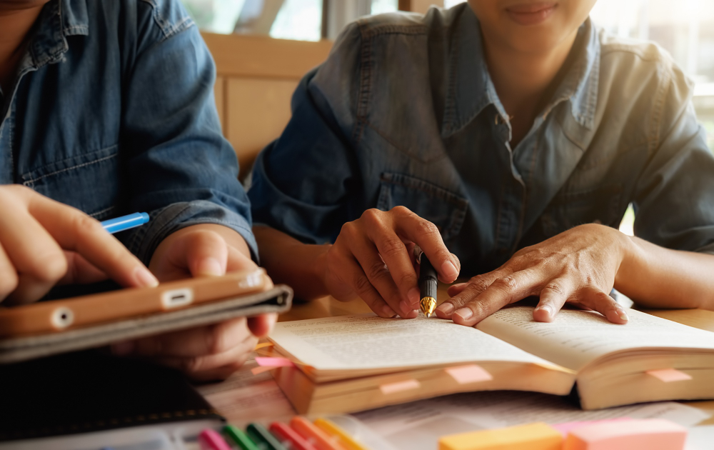 A Ação da Inspeção Escolar nas Redes de Ensino