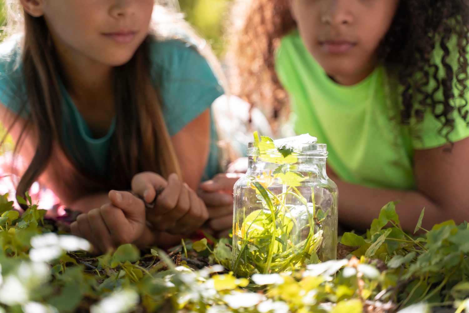 Biologia e Educação Ambiental