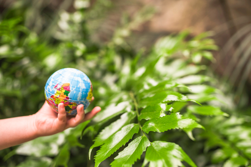 Meio Ambiente e Sustentabilidade