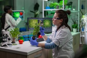 Biologist scientific doctor examining green sapling while typing on keyboard ecology expertise. womanresearcher observing genetic mutation on plants, working in agriculture laboratory.